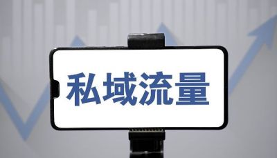 2021年中国私域流量营销洞察研究报告